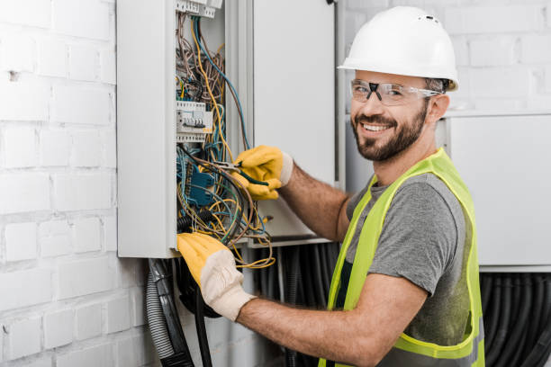 Best Residential Electrician Services  in La Presa, CA